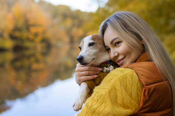 Chien et amour : conseils pratiques et récits touchants